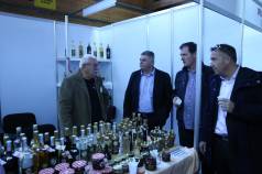 Mini IMG 6702